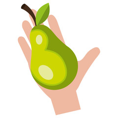 hand with fresh pear