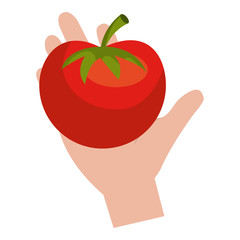hand with fresh tomato