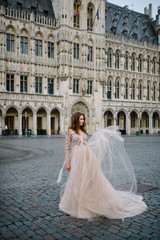 Portrait of a lovely young girl in a lush dress walking around the park and the Grand Palace(Brussels)