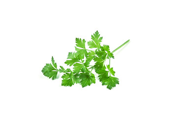 Fresh green parsley isolated