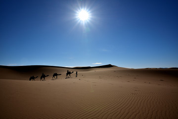 Fototapeta na wymiar Eine Karawane unter der heißen Wüstensonne