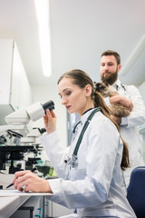 Fototapeta na wymiar Veterinarian doctors analyzing blood samples of cat in laboratory under microscope