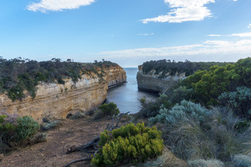 Fototapeta na wymiar Coastal bay with vegetation and high cliffs