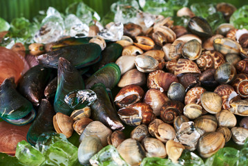 Mixed raw seashells  and mussels, seafood background.