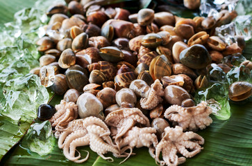 Fresh seafood on crushed ice, close-up.