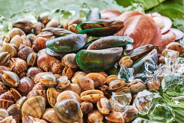 Fresh Mussels with ice