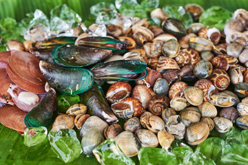 clam assortment