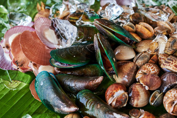 Fresh seafood on ice.  Mussels.