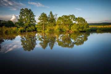 Bäume spiegeln sich im Wasser