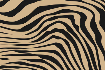 Close up Stripe Animal Pattern