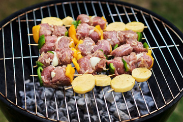 Preparing food  during barbecue.