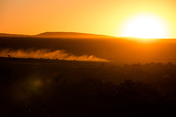 Obraz premium Tractor Driving in Field by sunset Glow
