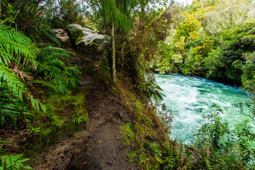Obraz premium kaituna river - rotorua