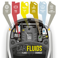 Technical fluids of the car