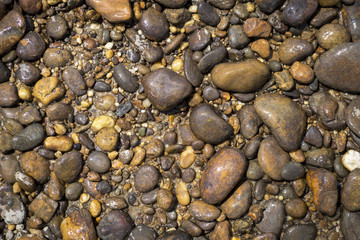 Nature concept background of river stone
