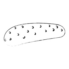 fresh cucumber vegetarian food vector illustration design