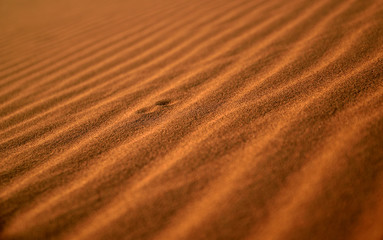 Nahaufnahme einer Wanderdüne