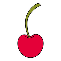 fresh cherry healthy food vector illustration design