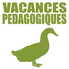 Logo vacances pédagogiques.