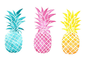 Watercolor Set Pineapples