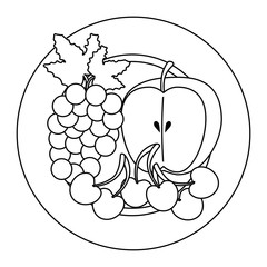 dish with fruits healthy food vector illustration design