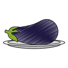 fresh eggplant vegetarian food vector illustration design