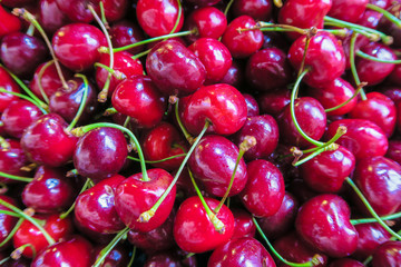 Close up of cherries, red cherry, fresh fruit