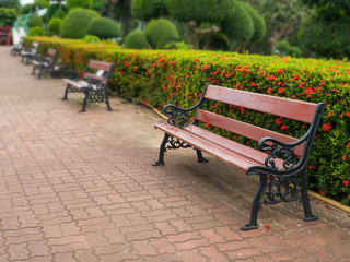wooden park bench at a park