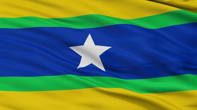 Piar closeup flag, city of Venezuela, realistic animation seamless loop - 10 seconds long