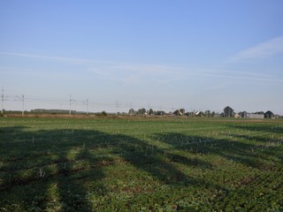 Fototapeta na wymiar Tory kolejowe biegnące przez pola.