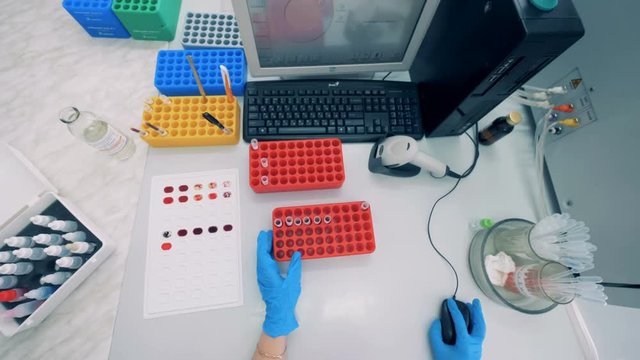 Top view of a laboratory expert sitting in front of a computer and blood probes