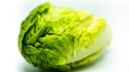 Gros plan de laitue