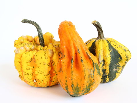 Kolorowe dynie ozdobne na jasnym tle - jesienna dekoracja na halloween do nowoczesnego wnętrza