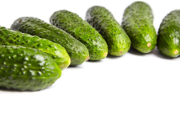 Fresh green cucumbers on white background. Gherkin