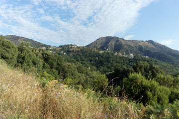 Fototapeta na wymiar sant'andrea di coton village in Corsica mountain