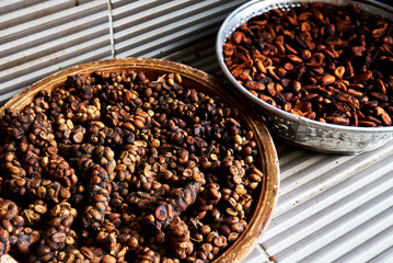 Kopi Luwak, coffee, raw material for rarest most expensive coffee in world Kopi Luwak producing in Bali, Indonesia, Vietnam, Philippines and Thailand.