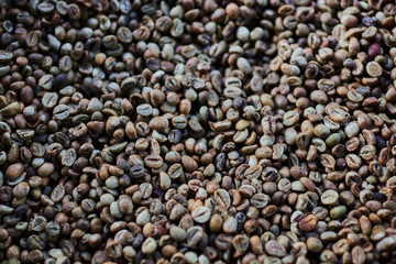 Raw unroasted green coffee beans. Background and texture. Selective focus. Harvest concept.
