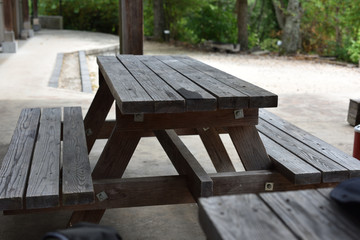 Fototapeta premium 日本の森の中のベンチ