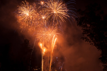 retail of Fireworks between trees silhouettes