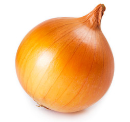 Fresh onion on white background