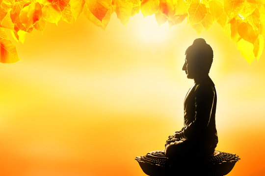 soft focus buddha statue, bodhi leaf with double exposure and len flared, dhamma concept.