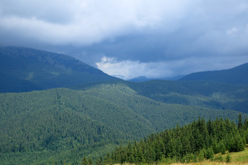low grey clouds in the mountain valley, green forest, black mountains