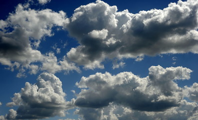 Obraz premium Texture. Tree. Logs. Firewood.