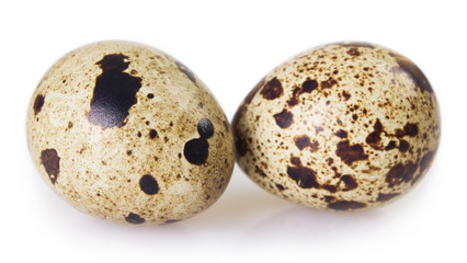 Quail eggs