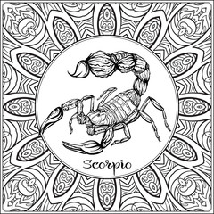 Scorpio. Decorative zodiac sign on pattern background. Outline hand drawing. Good for coloring page for the adult coloring book Stock vector illustration.