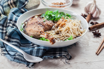 Delicious duck noodle soup