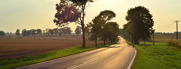 Wiejska droga w zachodzącym słońcu - panorama