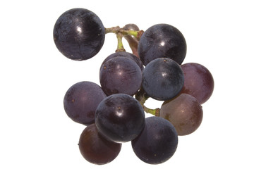 grapes isolated on white background