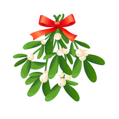 Branch of mistletoe with berries and red bow. A bouquet of Christmas.