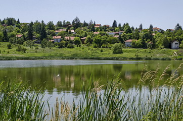 Fototapeta na wymiar Springtime green forest, glade, reed or rush and house on a beauty lake in residential district Marchaevo, Sofia, Vitosha mountain, Bulgaria 